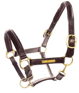 Cavezza cuoio doppio targhetta ottone
