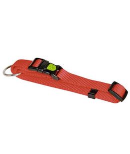 Collare per cani modello Miami 10 mm 20-35 cm rosso