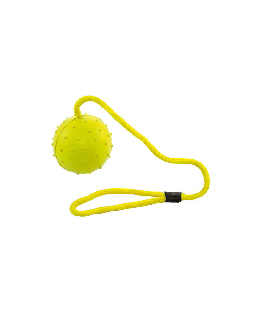 Gioco palla in gomma con corda 6.5 cm per cani