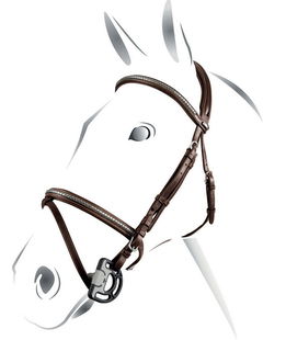 Briglia inglese cuoio frontalino clincher np