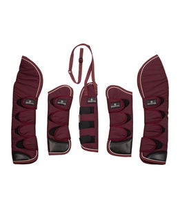 Set paracolpi e paracoda da viaggio con patch in gomma per cavalli