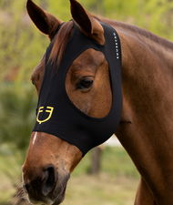 Maschera antimosche per cavalli in lycra senza rete su occhi e orecchie