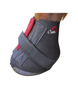 Calza in neoprene proteggi pastorali per Simple Boot