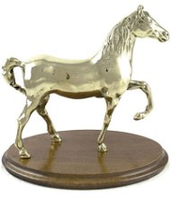 Trofeo cavallo base legno