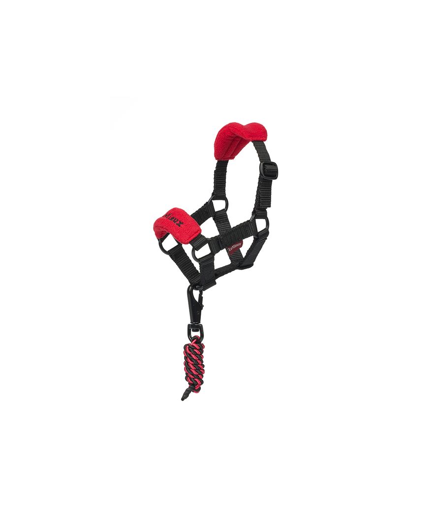 Cavezza con lunghina per giocattolo peluches cavallo linea Toy Pony colore chilli