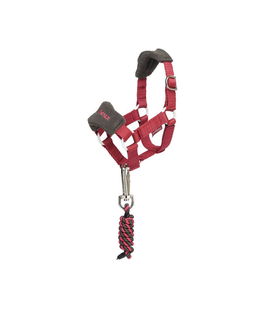 Cavezza con lunghina per giocattolo peluches cavallo linea Toy Pony colore ember
