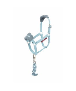 Cavezza modello vogue glacier per cavallino giocattolo Hobby Horse Lemieux