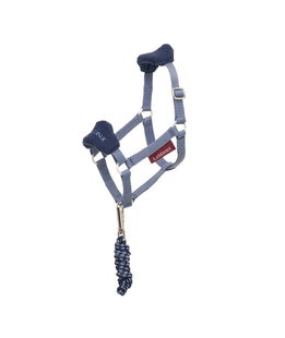 Cavezza jay blu per cavallino giocattolo Hobby Horse Lemieux