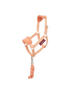 Cavezza albicocca per cavallino giocattolo Hobby Horse Lemieux