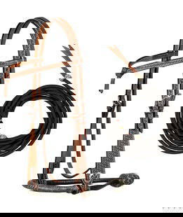 Bosal Set Pool's con testiera e bosal con decorazioni basket