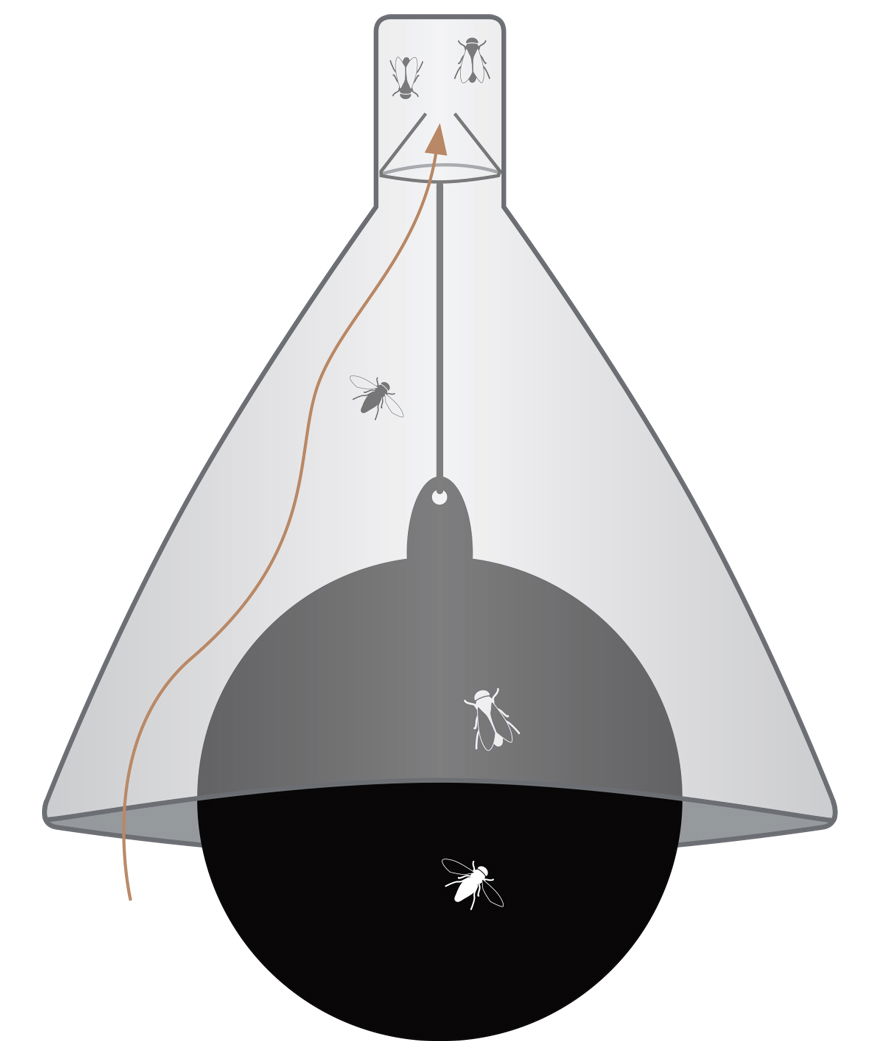 Trappola mini per mosche e tafani TaonX per scuderie e aree esterne - foto 1