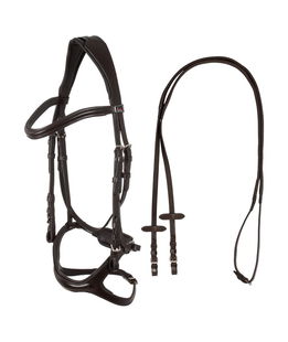 Briglia inglese per cavalli anatomica con nasalina curva e fibbie inox