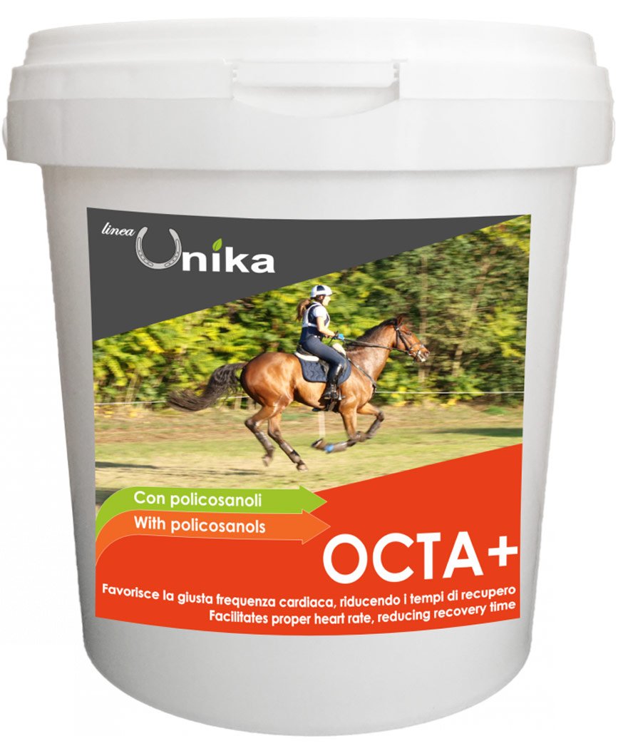 Octa+ coaudiuvante mantenimento performance di cavalli sottoposti a elevati  sforzi muscolari 1 Kg