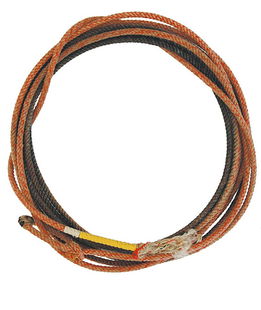 Lazo western