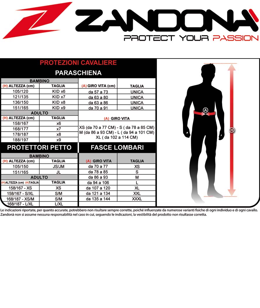 Paraschiena bambino Zandonà ESATECH BACK PRO X7 a 7 scocche per la protezione della zona schiena-scapole - foto 3