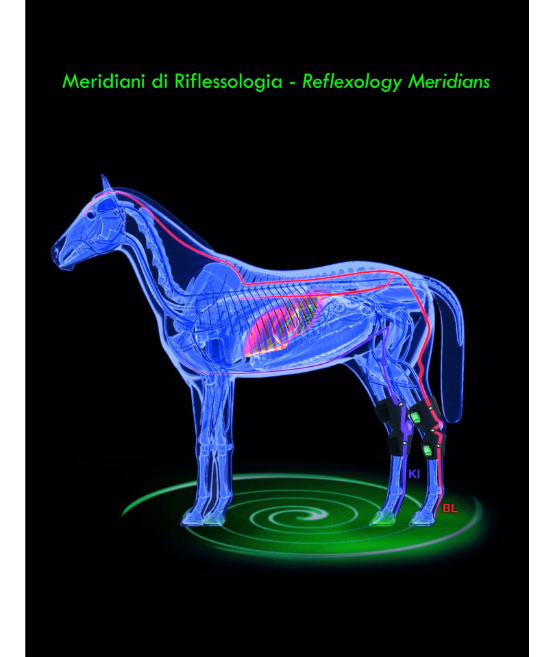 Fasciatura magnetica Zandonà da riposo per il garretto del cavallo THERAPEUTIC AIR HOCK con 10 dispositivi magnetici - foto 1