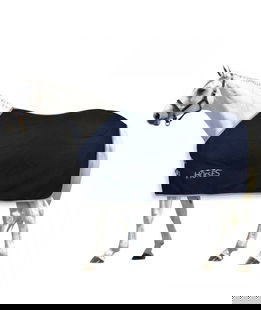 Coperta lana cavalli NOVARA