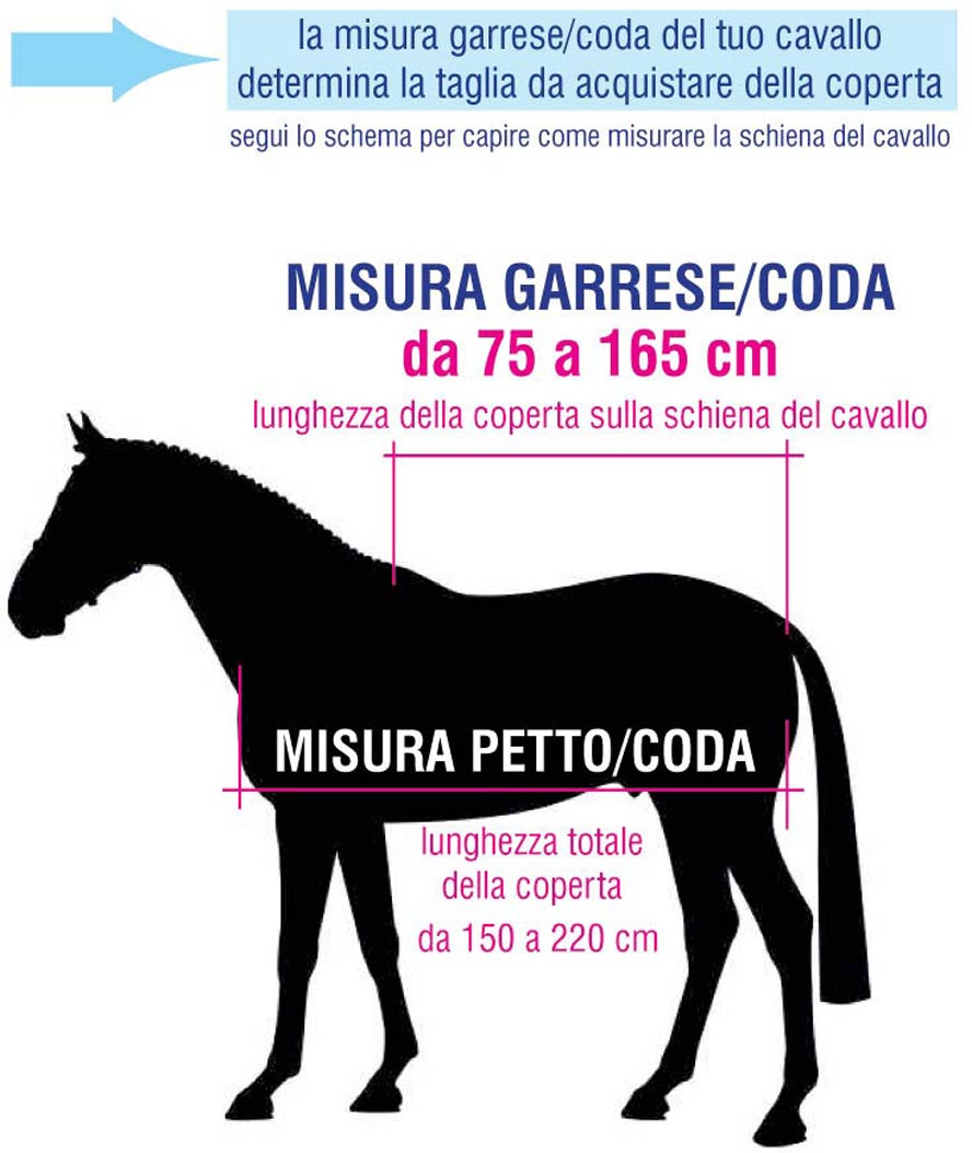 Coperta da box imbottita 400g e tessuto esterno 1200 denari modello Horses Quazar  - foto 4