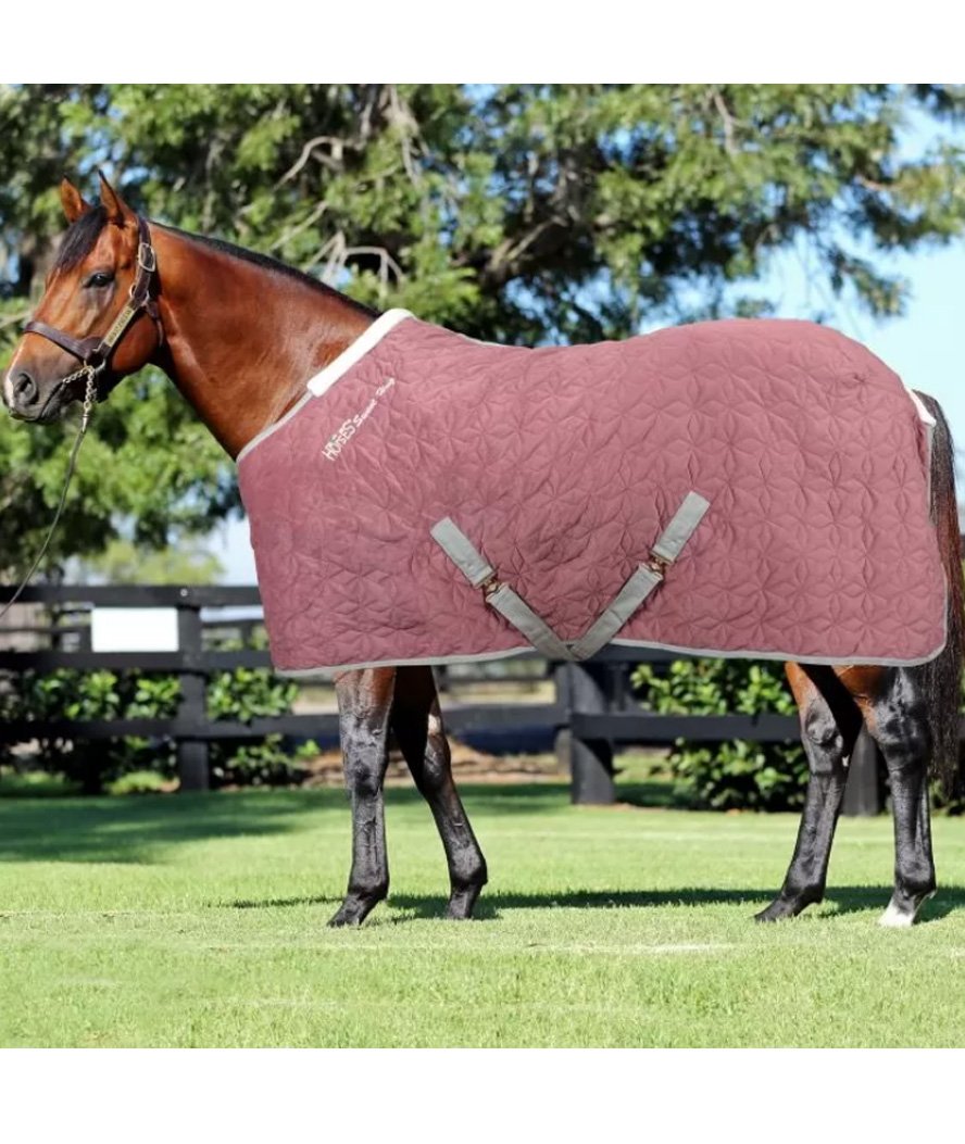 Coperta da box per cavalli modello Horses Quazar Velvet imbottitura 160 g