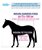 Coperta da box per cavalli modello Horses Quazar Velvet imbottitura 160 g - foto 7