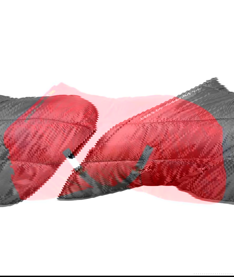 Coperta da box per cavalli modello Horses Essential imbottitura 300g