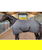 Coperta da box per cavalli modello Horses Essential imbottitura 300g - foto 2