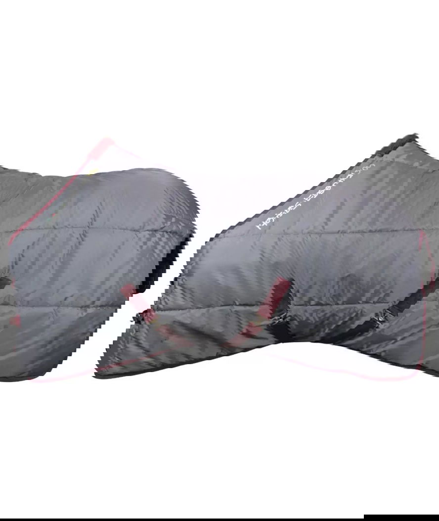 Coperta da box per cavalli modello Horses Essential imbottitura 300g - foto 4