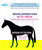 Coperta da box per cavalli modello Horses Essential imbottitura 300g - foto 9
