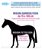 Coperta da box per cavalli modello Horses Coloured imbottitura 250g - foto 7