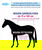 Coperta da box per cavalli modello Horses Coloured imbottitura 250g - foto 7