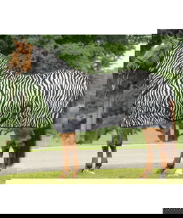 Coperta in Rete Antimosche Con Collo Horses Zebra Plus