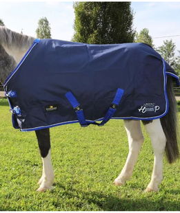 Coperta impermeabile da paddock Horses Heroes senza imbottitura e tessuto esterno 600 denari