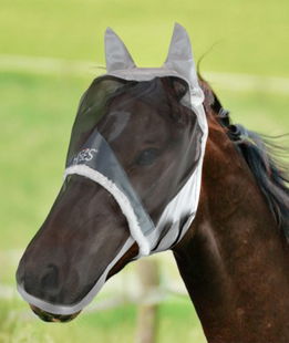 Maschera Horses fly shield plus