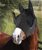 Maschera per cavalli antimosche in Lycra con rete per occhi