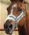 Cavezza e Longhina in nylon Horses Multicolor - foto 1