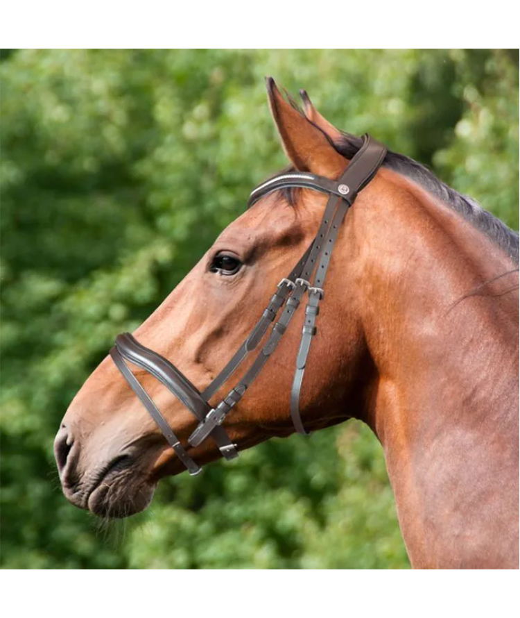 Briglia inglese per cavalli modello Shaped Yo con frontalino bombato e brillantini - foto 5