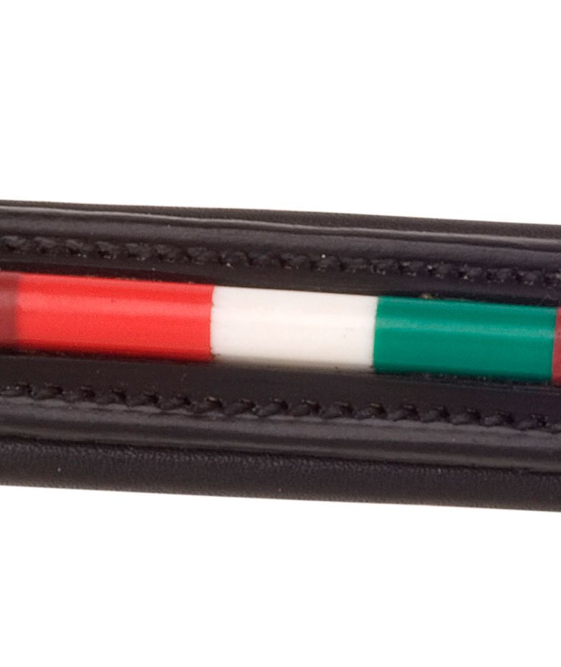 Frontalino Pariani con decoro bandiera italiana - foto 1