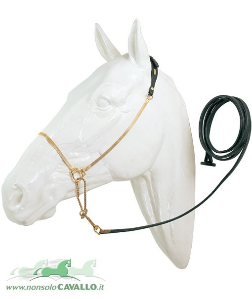 Cavezzina per presentazione per cavalli arabi in pelle con catena piatta e lunghina