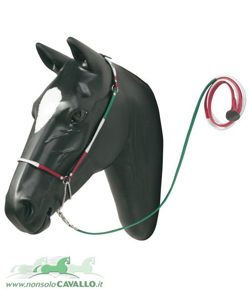 Cavezzina da presentazione con lunghina per cavalli arabi in cuoio bandiera italiana