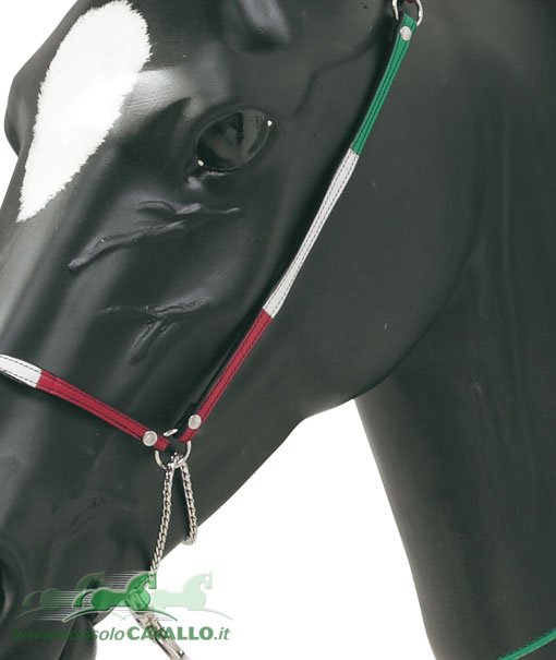 Cavezzina da presentazione con lunghina per cavalli arabi in cuoio bandiera italiana - foto 1