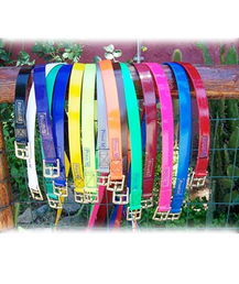 PROMOZIONE Staffili in biothane Podium con fibbiera in bronzo navale NERO LUCIDO