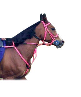 Briglie Biothane e PVC - NonsoloCavallo  Selleria online, negozio per  cavalli e articoli equitazione