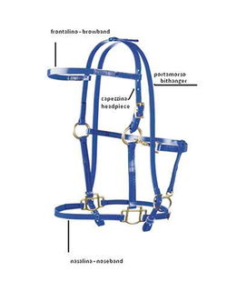 Testiera cavallo biothane personalizzabile