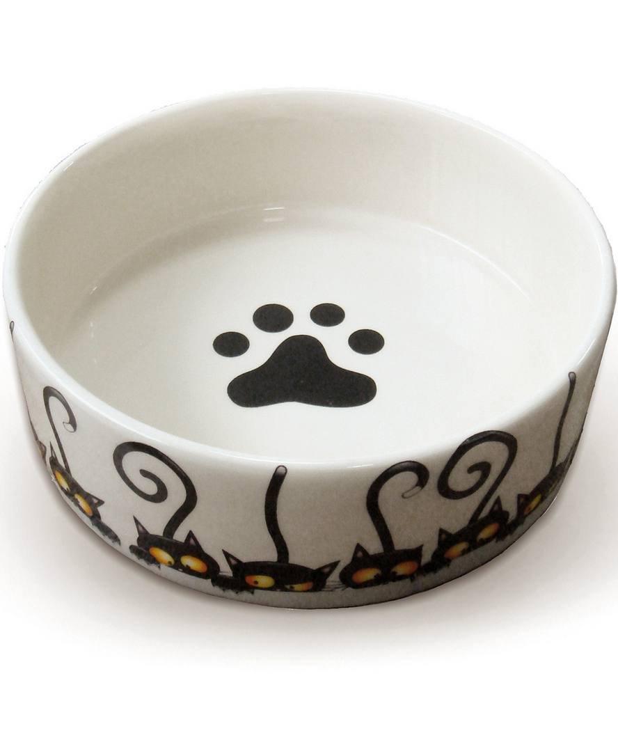 Ciotola in ceramica per cani e gatti con decoro gattini curiosi