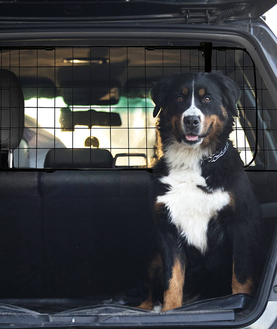 Divisorio auto a rete in metallo per cani - foto 1