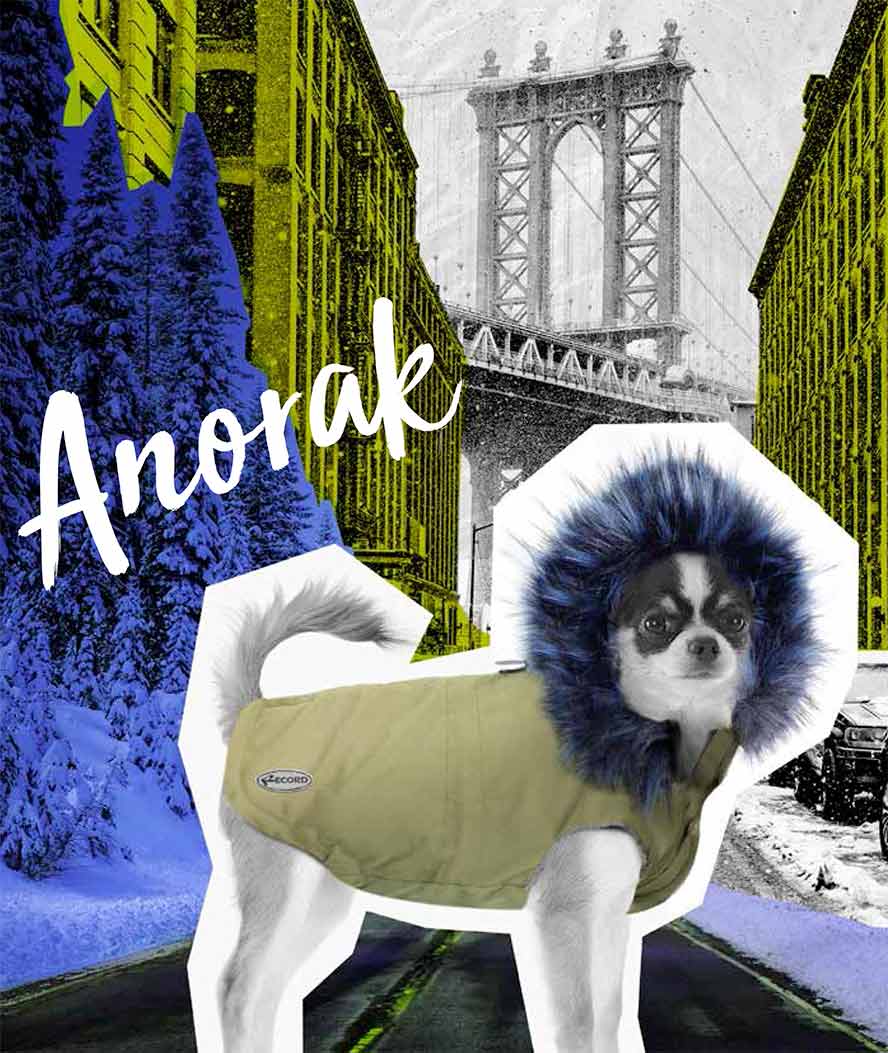 Cappottino Anorak con interno in eco-pelliccia e cappuccio removibile per cani - foto 4