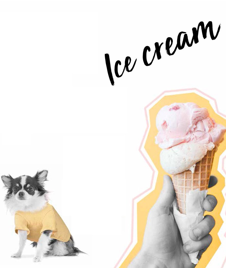 T-shirt a collo alto modello Ice Cream per cani - foto 2