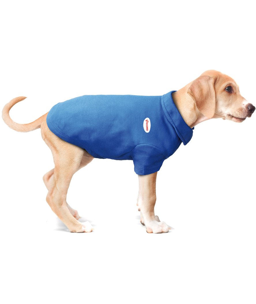 Maglietta in stile polo con logo ricamato per cani 20 CM BLU - foto 3