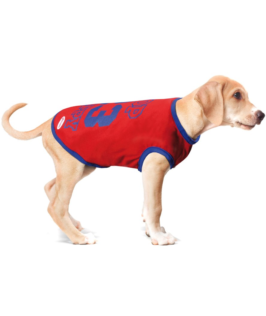 Maglietta leggera stile basketball modello Sport Dog per cani - foto 6