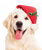 Cappello da Babbo Natale con elastico per cani  - foto 1